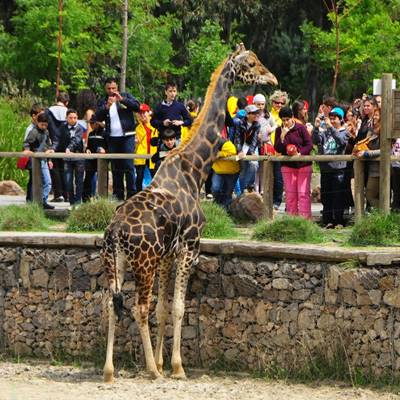 Wycieczka rowerowa i zoo po Izmirze