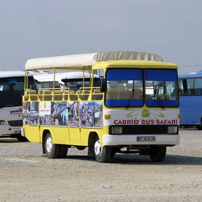 Side Cabrio Bus Safari