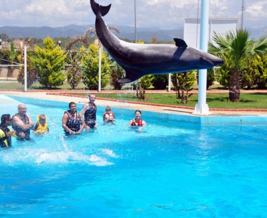 Icmeler Dolphin Show